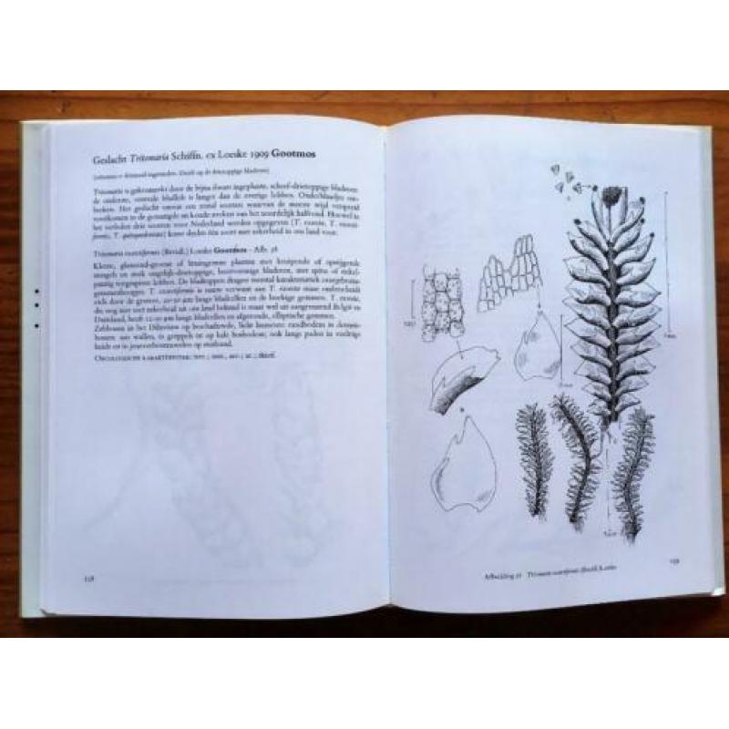 Atlas Nederlandse Levermossen / J. Landwehr