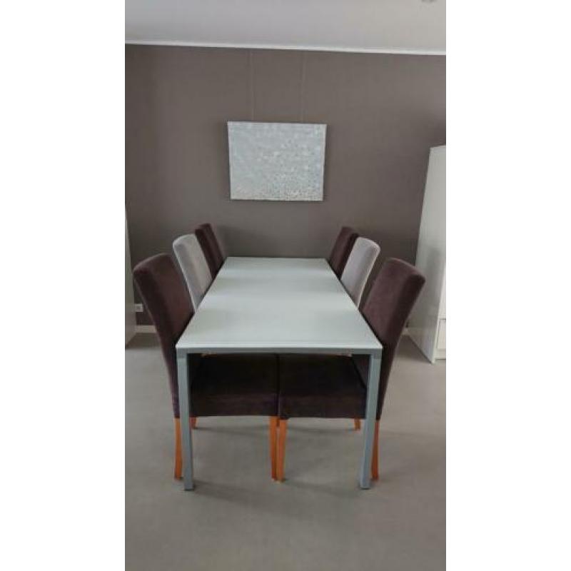 Mooie zilvergrijze tafel met mat glazenblad en 6 stoelen