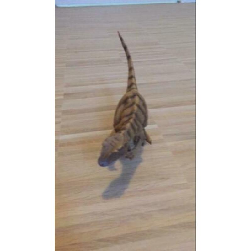 Schleich dino