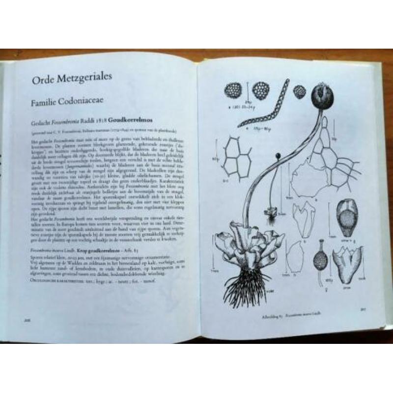 Atlas Nederlandse Levermossen / J. Landwehr