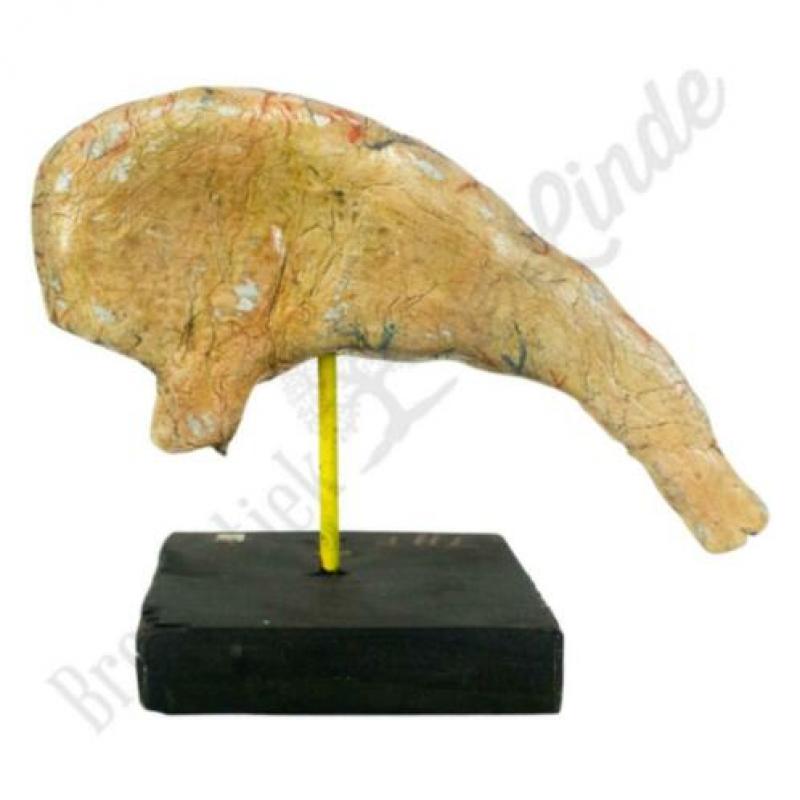 Unieke oude vintage Anatomisch model maag No.2