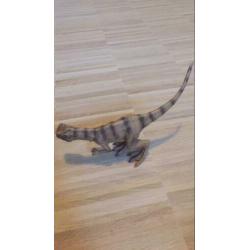 Schleich dino