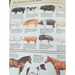 Het leven op de boerderij van Ruth Thomson, natuurkijkboek