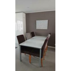 Mooie zilvergrijze tafel met mat glazenblad en 6 stoelen