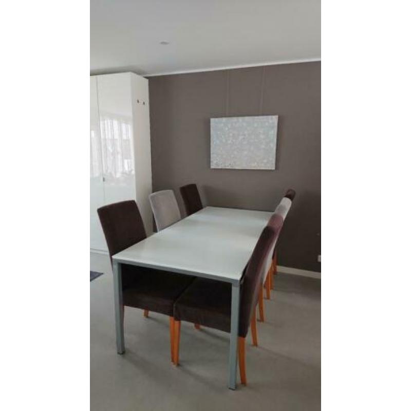 Mooie zilvergrijze tafel met mat glazenblad en 6 stoelen