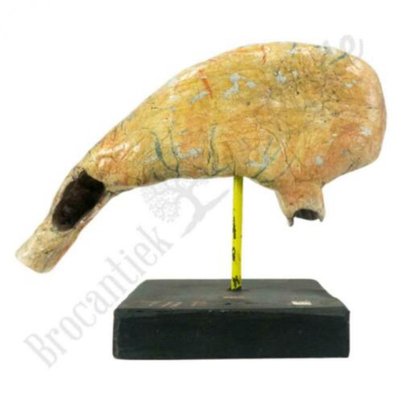 Unieke oude vintage Anatomisch model maag No.2