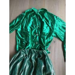 carnavalskleding - verkleed kleding - harembroek + blouse