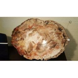 GROTE STILBIET Mineraal Mineralen Fossielen