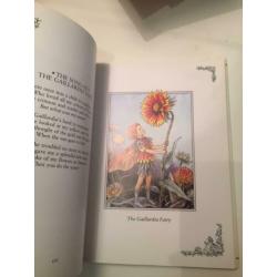 Flower Fairies Treasury - elfen boek