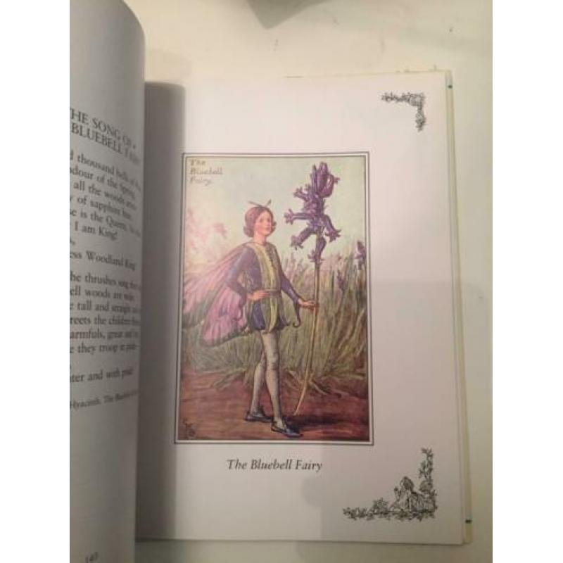 Flower Fairies Treasury - elfen boek
