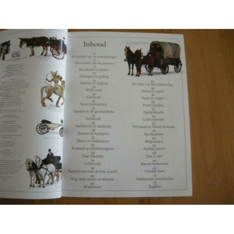 Boek Paarden van ooggetuigen