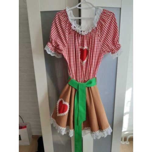Dirndl jurk met petticoat