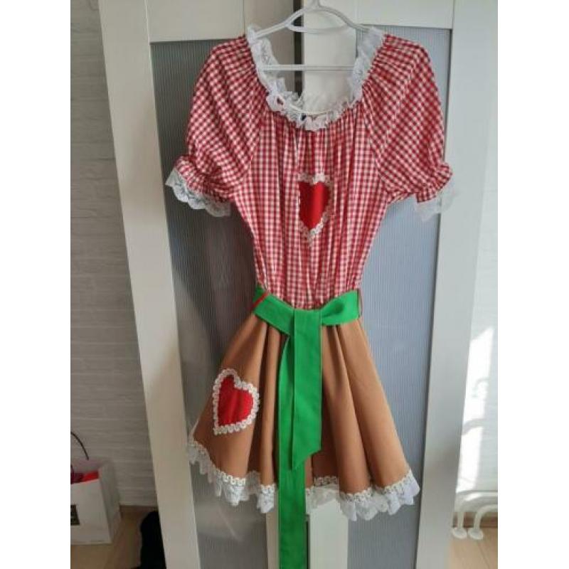 Dirndl jurk met petticoat