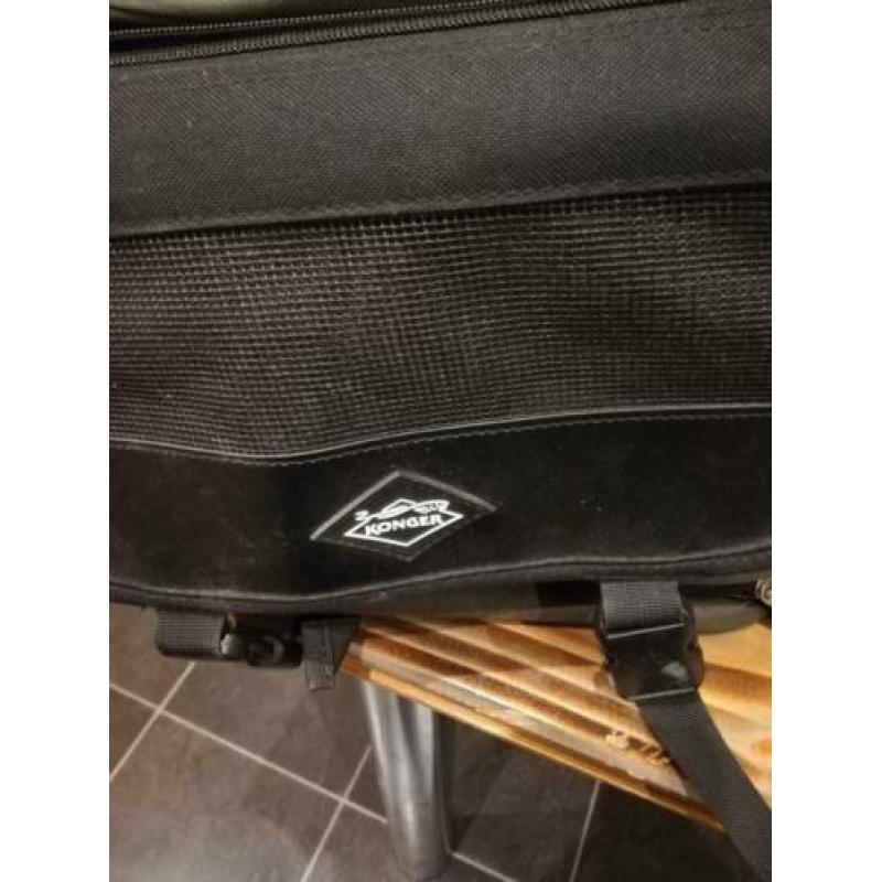 Vissen tas konger