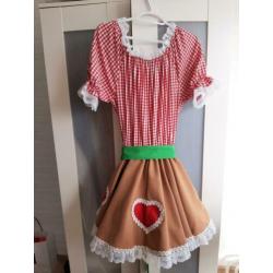 Dirndl jurk met petticoat