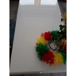 Salontafel en tv meubel