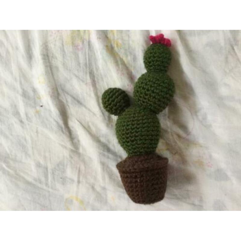 Gehaakte cactussen 2 stuks voor 4,95€