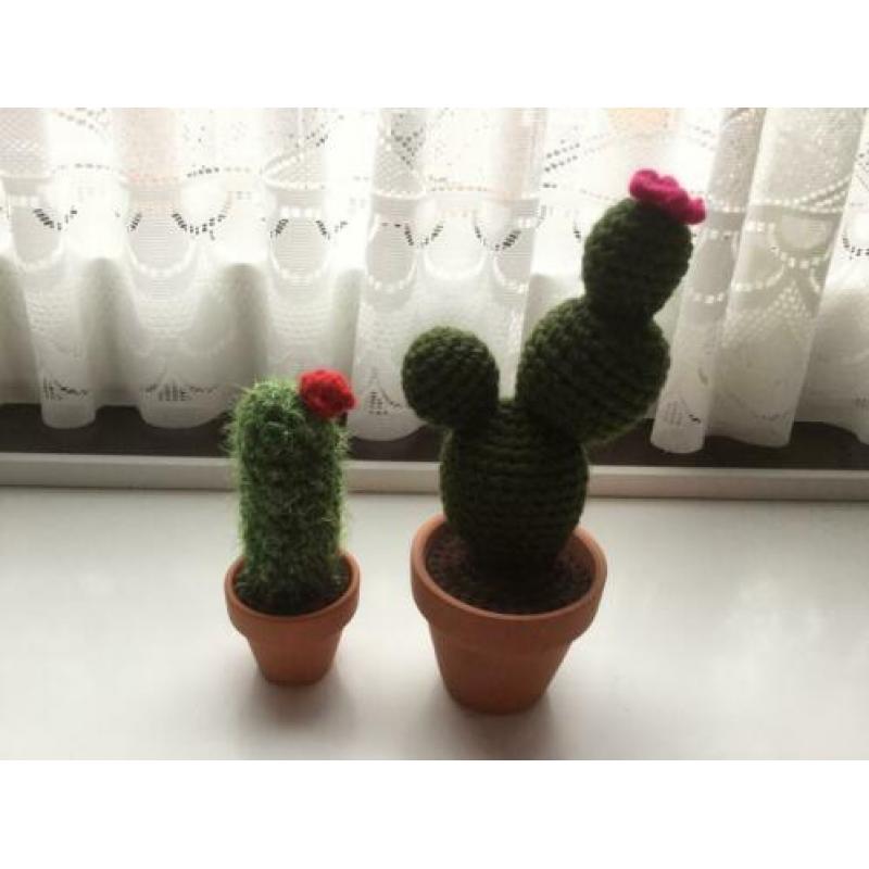 Gehaakte cactussen 2 stuks voor 4,95€
