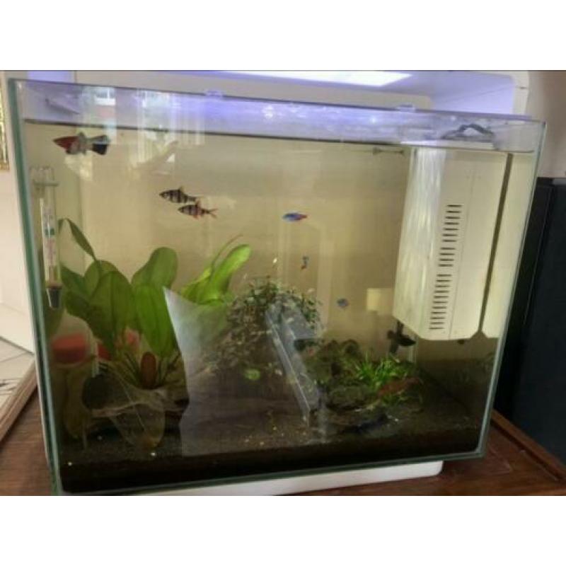 Superfish Aquarium 40 Liter