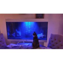 Aquarium juwel 350 liter
