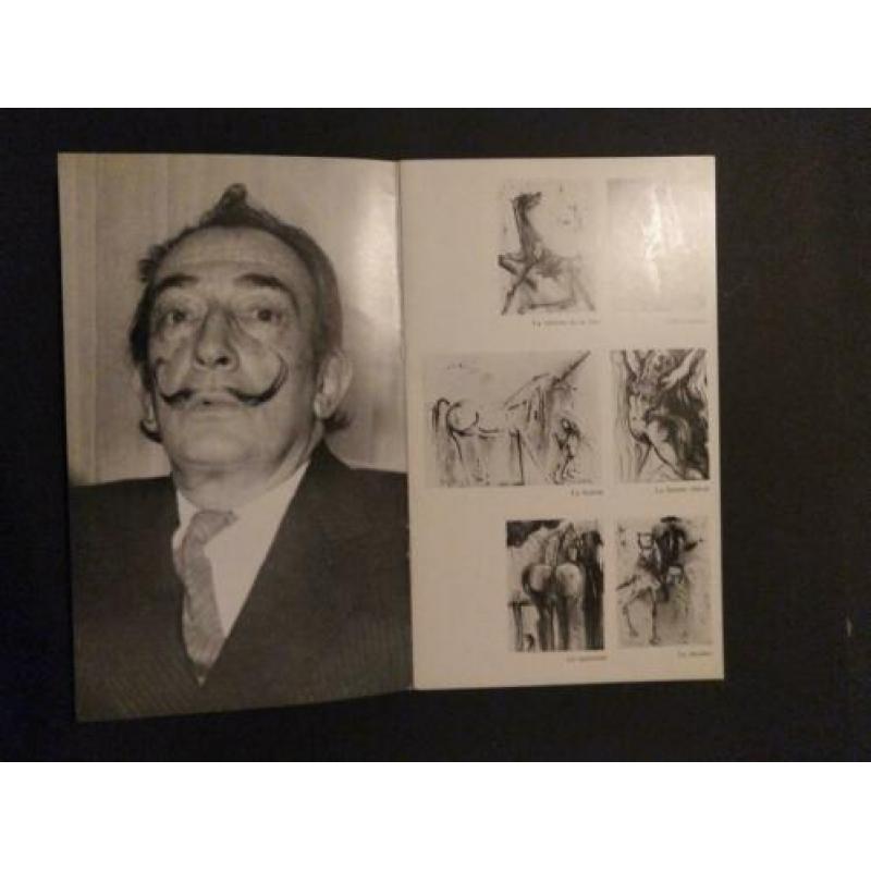 Dali Isy Brachot catalogus & Art- in-jewels