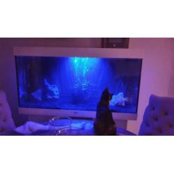 Aquarium juwel 350 liter