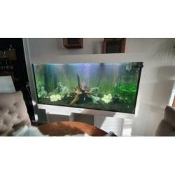 Aquarium juwel 350 liter