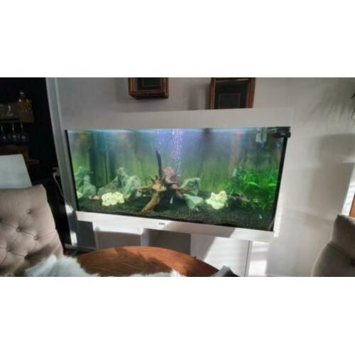 Aquarium juwel 350 liter