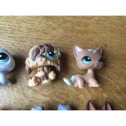 Littlest Pet Shop LPS poppetjes (o.a #347, #1170, #1077)