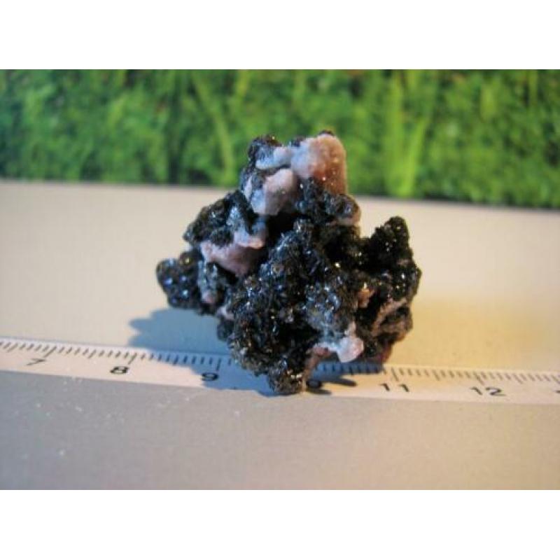 Desclozite met vanadinite,los Lomentos Chihuahua,Mexico