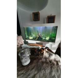 Aquarium juwel 350 liter
