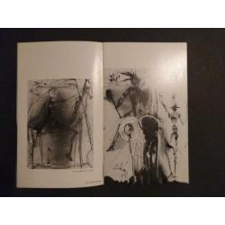 Dali Isy Brachot catalogus & Art- in-jewels