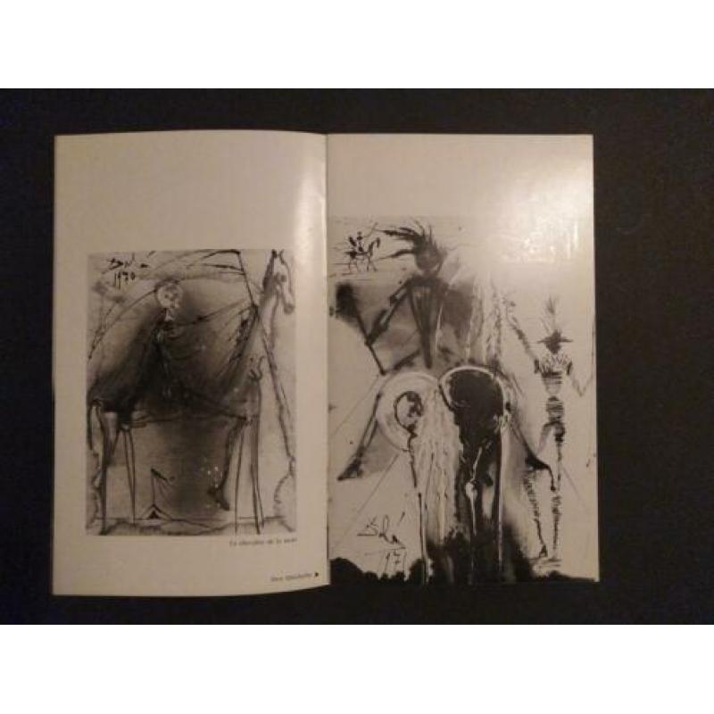 Dali Isy Brachot catalogus & Art- in-jewels