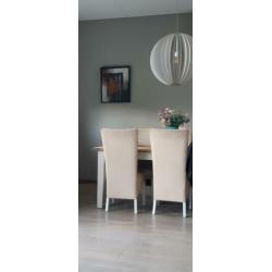 6 eetkamer stoelen(totaal 55,-),  netjes en onbeschadigd.