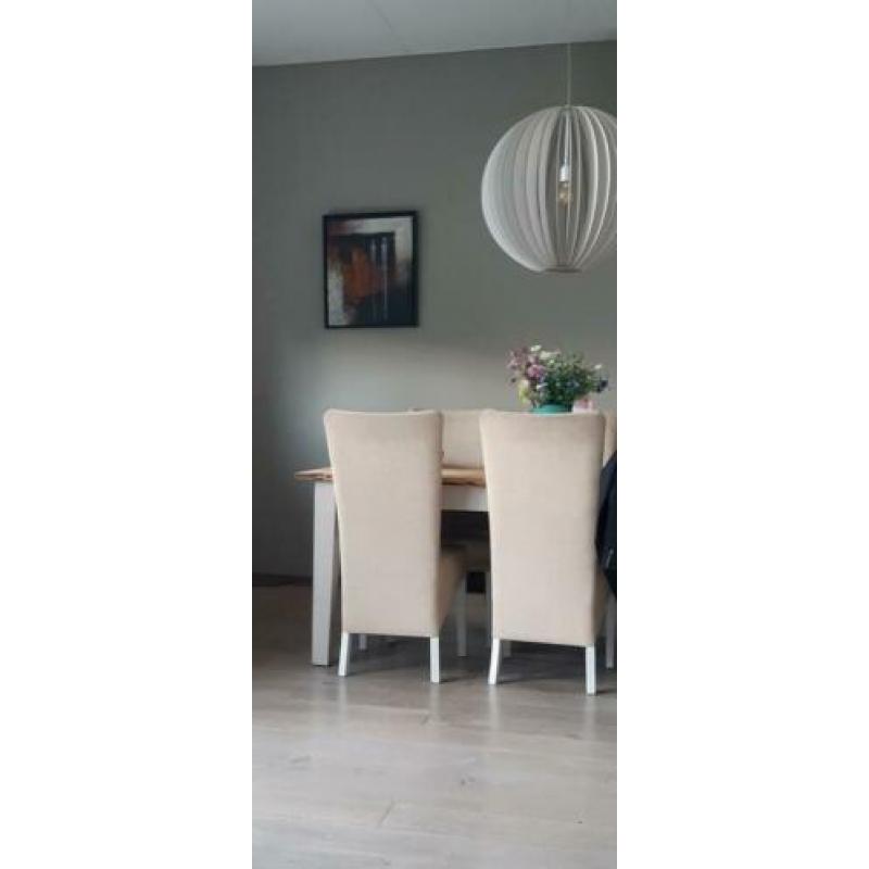 6 eetkamer stoelen(totaal 55,-),  netjes en onbeschadigd.