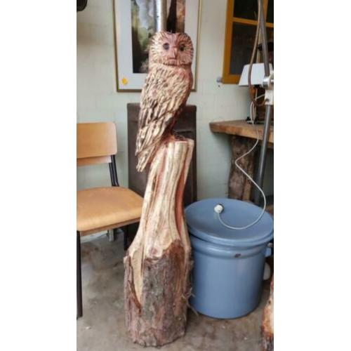 Mooi houten uilen beeld op boomstam