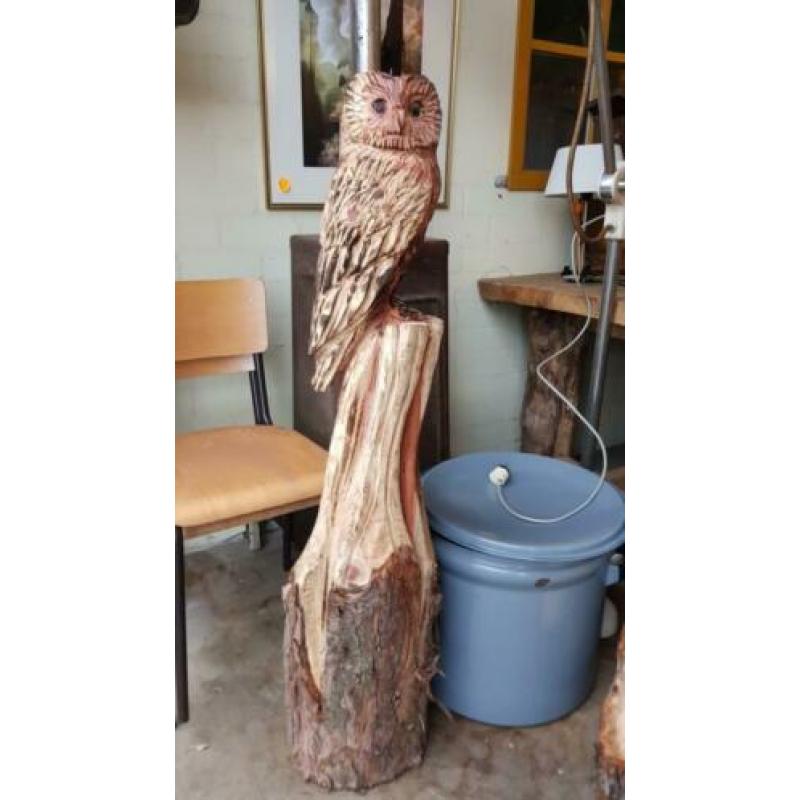 Mooi houten uilen beeld op boomstam