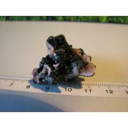 Desclozite met vanadinite,los Lomentos Chihuahua,Mexico