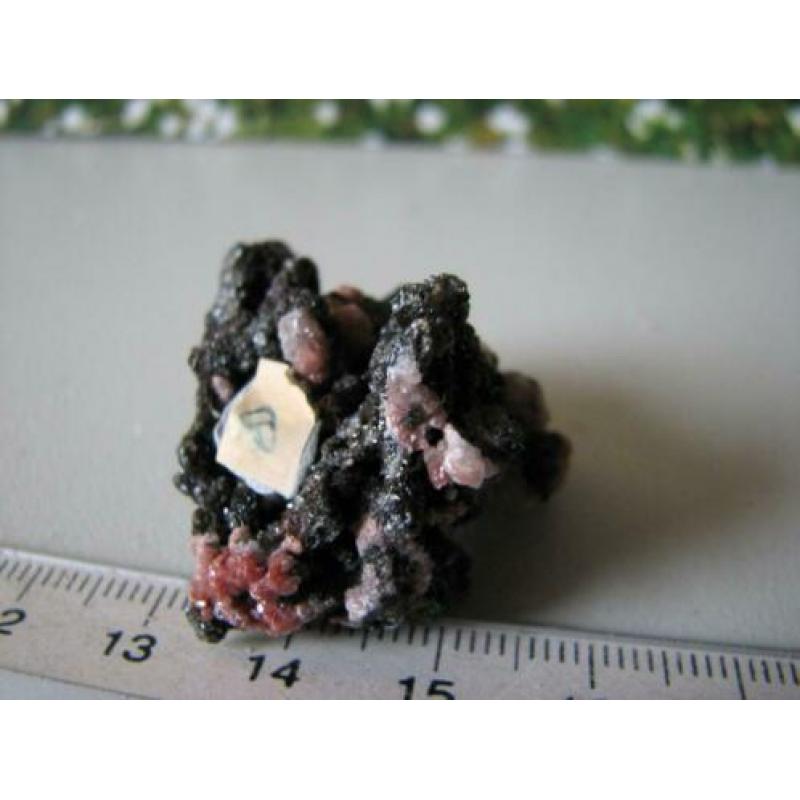 Desclozite met vanadinite,los Lomentos Chihuahua,Mexico