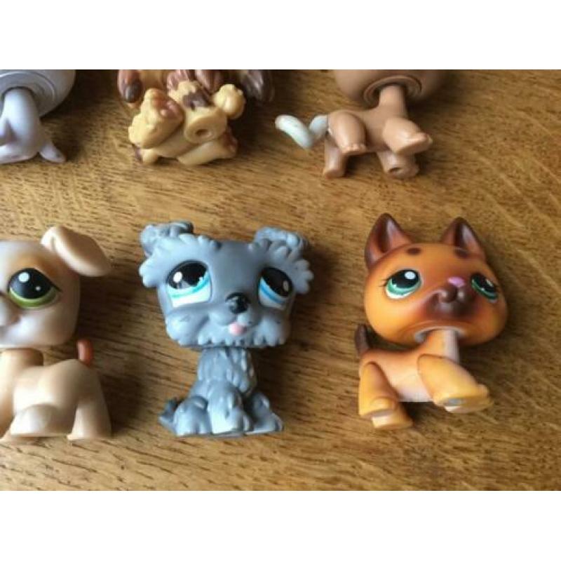 Littlest Pet Shop LPS poppetjes (o.a #347, #1170, #1077)