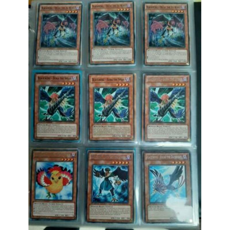 Yu-Gi-Oh! Blackwing