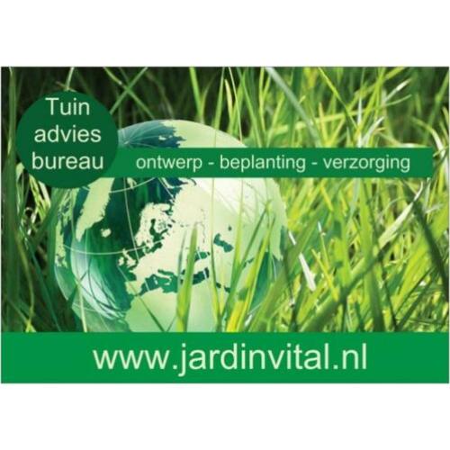 Tuinontwerp / Tuinbeplanting / Hovenier / Tuinman / Tuinadvi