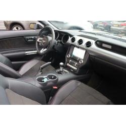 Ford USA Mustang 5.0 V8 GT Convertible California Special LE