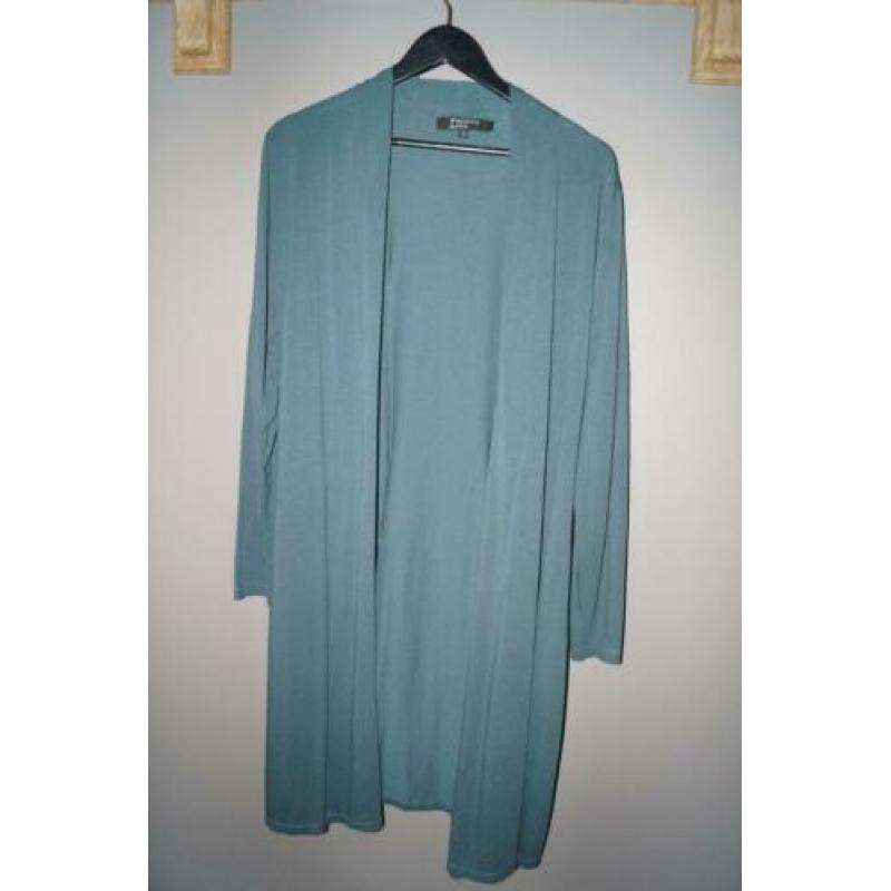 Vest Donna Due blauw/groen