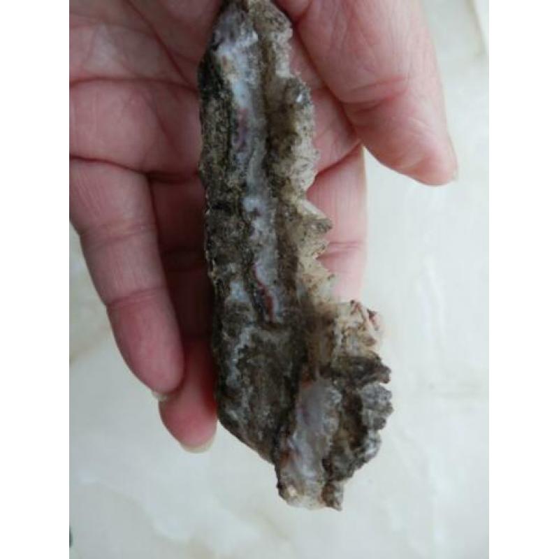 Dagtooth calciet