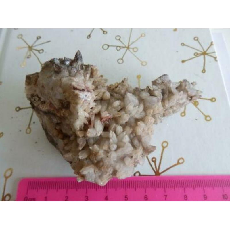 Dagtooth calciet