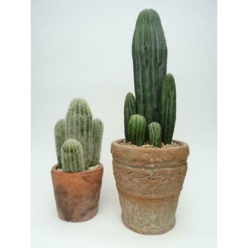 2 Kunstplanten in pot Cactus Cactussen Sierpot Kunstcactus