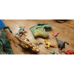 dinosaurus allerlei in 1 koop