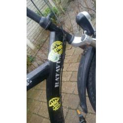 Batavus snake 26 inch