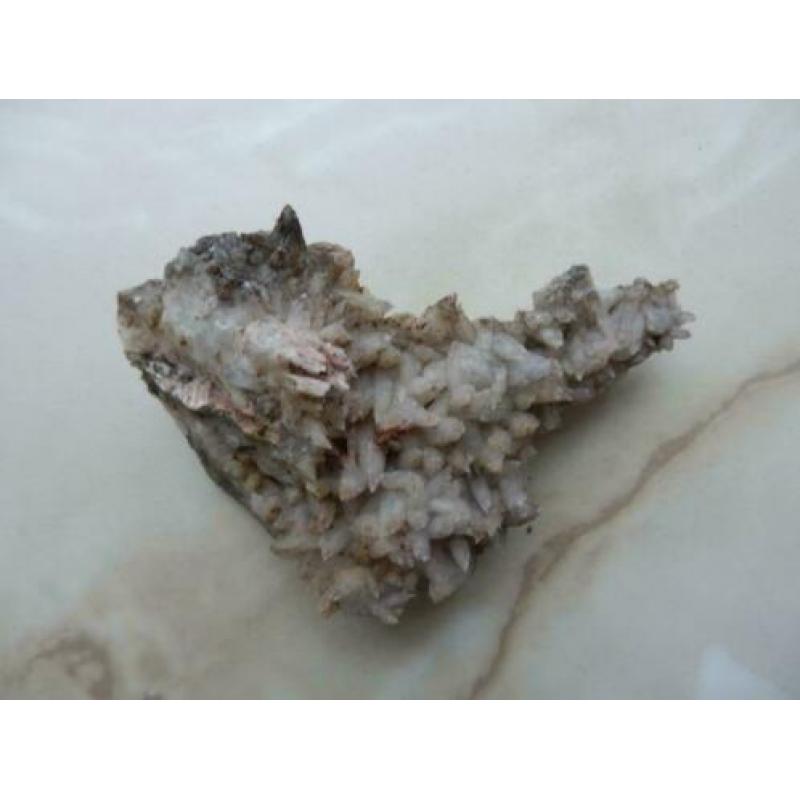 Dagtooth calciet